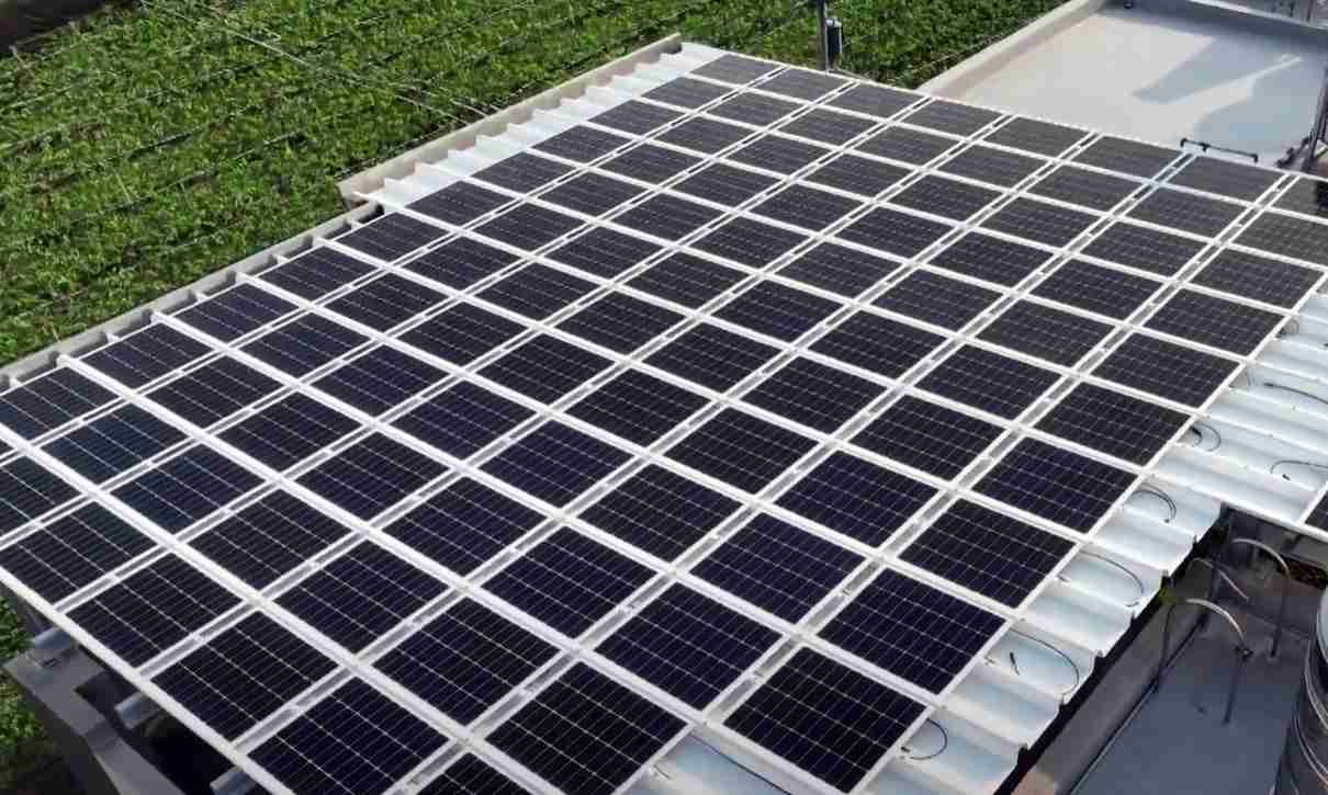 尊龙集团SunSteel光电浪板升级双玻结构，，以提升机械负载强度及气候耐候度，，，可广泛运用于多元场域